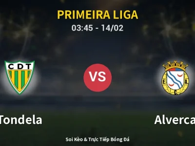 Kết Quả: Tondela 1-1 Alverca – Highlight & Bàn Thắng | Primeira Liga