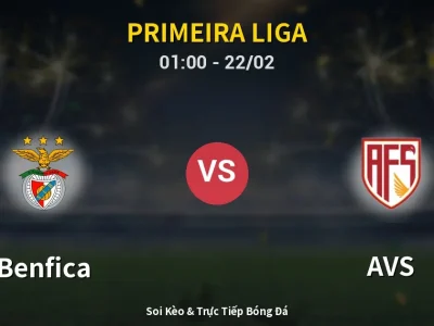 Kết Quả: Benfica 3-0 AVS – Highlight & Bàn Thắng | Primeira Liga