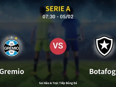 Kết Quả: Gremio 5-3 Botafogo – Highlight & Bàn Thắng | Serie A