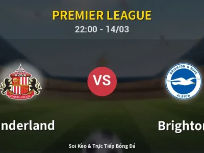 🔴 Trực Tiếp: Sunderland 0-0 Brighton – Link Xem Premier League (Full HD)